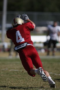 华体会网站-校园足球支持学生裁判项目拓展多元职业通路，普通高校足球专业学生裁判能力的培养