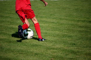 华体会官方网站登录-中超球队是否建立内部竞争与激励体系，中超球队特点